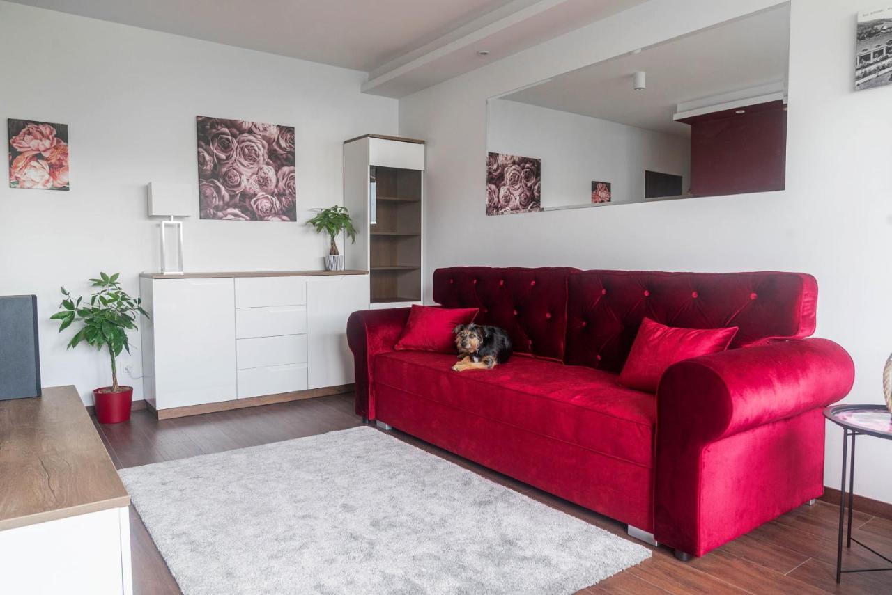 Rose Valley Apartment ポラニツァ・ズドゥルイ エクステリア 写真